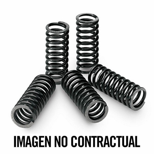 Tecnium clutch spring kit - tecnium,