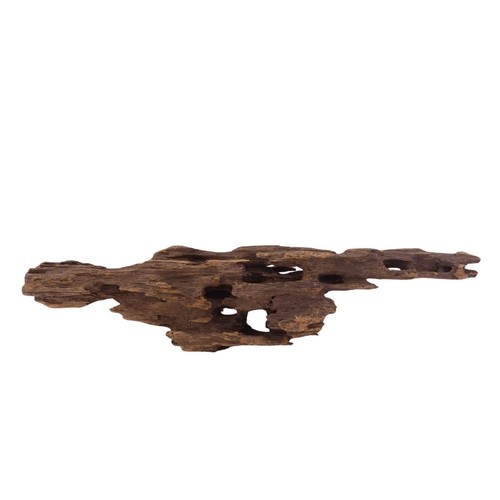 Honey comb radice - l,