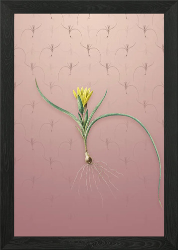 Quadro stampa tela poster - su,