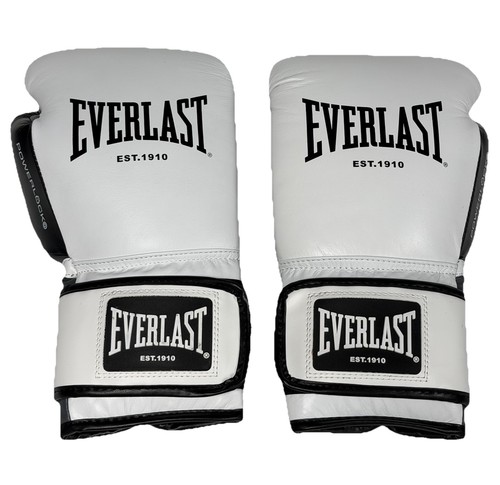 Guantoni boxe everlast - da,