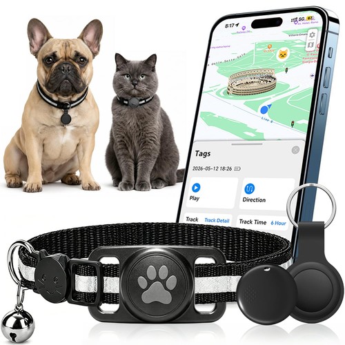 Collare gps gatto 2026 - gps,
