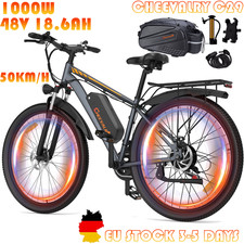 Bicicletta elettrica 29