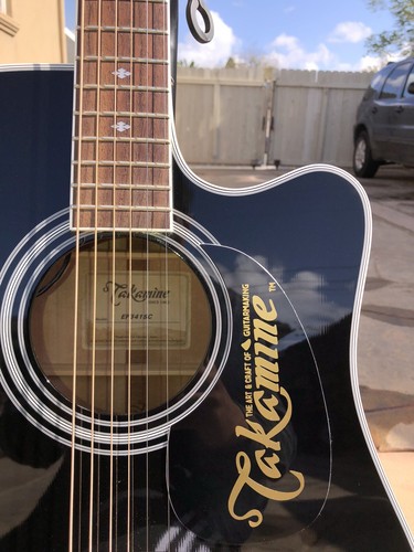 Takamine battipenna logo - battipenna, logo/