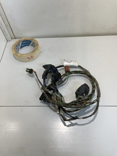 Cablaggio elettrico porta - cablaggio,