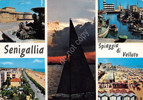 Cartolina senigallia - cartolina,
