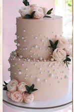 Torta Scenografica Compleanno