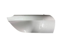 Portiera sinistra Smart