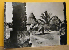 S1) SOMALIA PITTORESCA - ANIMATA - DANANE - FRANTOIO FG VG