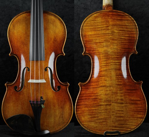 Favoloso maestro violino