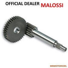 673677 INGRANAGGI RAPPORTI