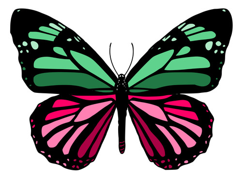 Adesivi auto sticker - auto,