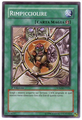 Yugioh rimpicciolire - •,