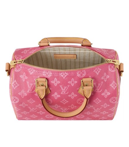 Louis vuitton speedy - vuitton,