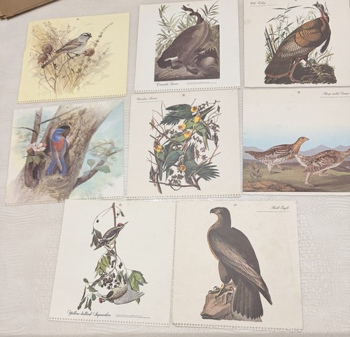 Calendario audubon reciproco - calendario,