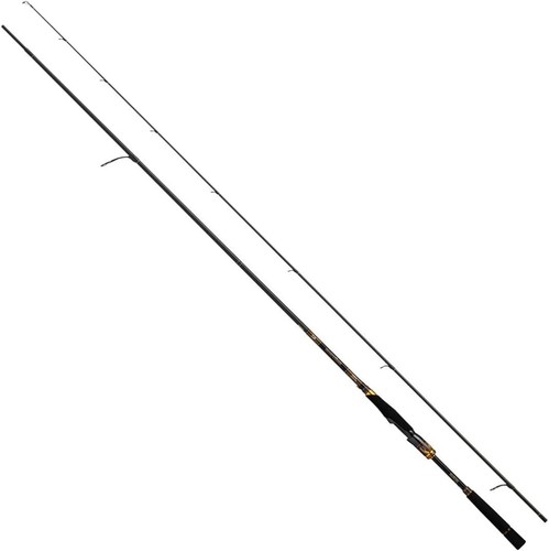Daiwa sea bass rod - bass, moisan