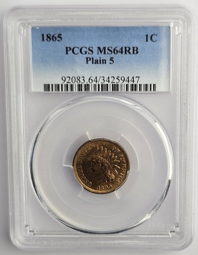 1865 testa indiano - testa, di