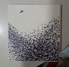 Useless And A Private Joy