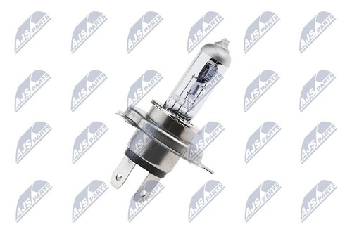 Coppia lampadine alogene - coppia,