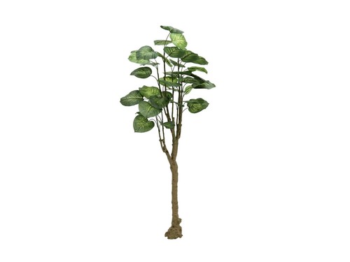 Europalms albero pothos - europalms,