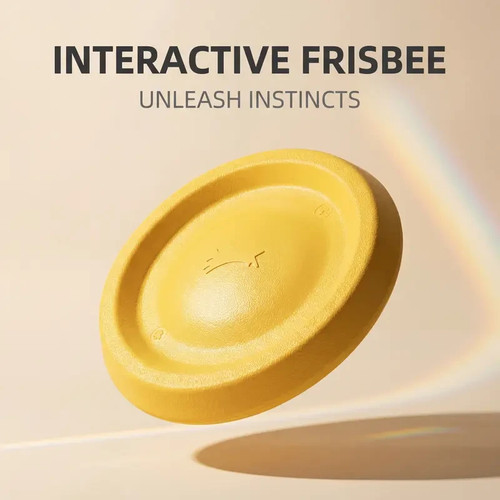 Frisbee cane giocattolo