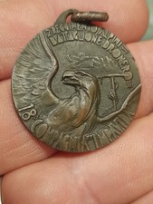 MEDAGLIA ALPINI 2 REGGIMENTO