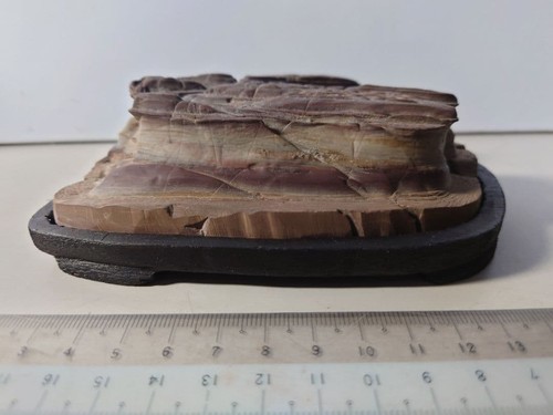 Pietra giapponese suiseki - pietra,