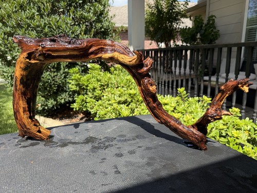 Driftwood mopani acquari - mopani, pesci