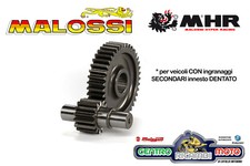 Ingranaggi secondari Malossi