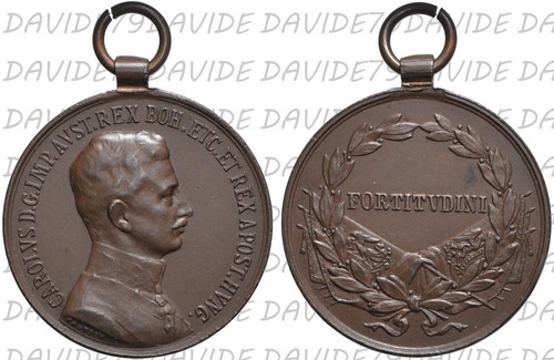 00705 medaglia austria - medaglia,