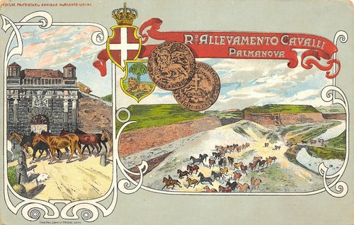 A915 cavalleria palamanova - a915), cavalleria,