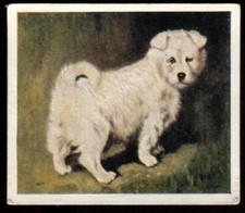 Tobacco Card, Godfrey
