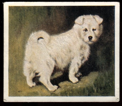 Tobacco card godfrey - card,,