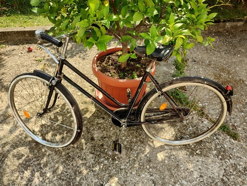 Bicicletta olanda vintage - olanda,