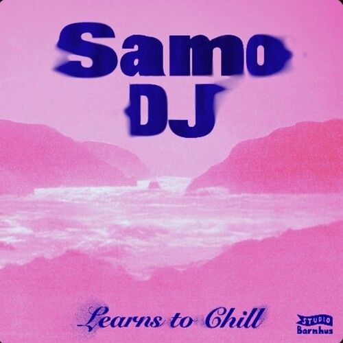 Vinile samo learns to - vinile,