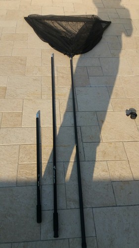 Guadino carpfishing fox in - guadino,
