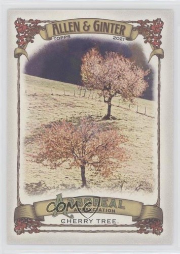 2021 topps allen ginter s - allen, ginter's