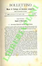 POLLONERA Carlo - Appunti di