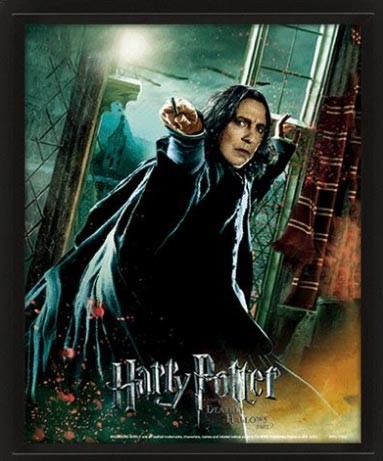 Quadro harry potter - quadro, 3d