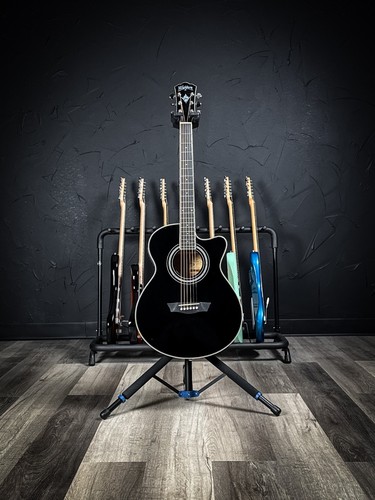 Washburn festival ea12b mini - festival,