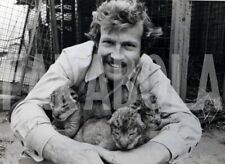 Foto vintage Animali, Leoni