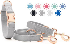 Collare E Guinzaglio per Cani