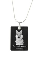 Cane Lupo Cecoslovacco -