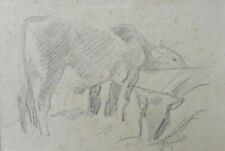 Luciano RICCHETTI (Piacenza 1897-1977) Studio con due mucche disegno cm 20x30