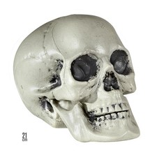 TESCHIO UMANO IN PLASTICA