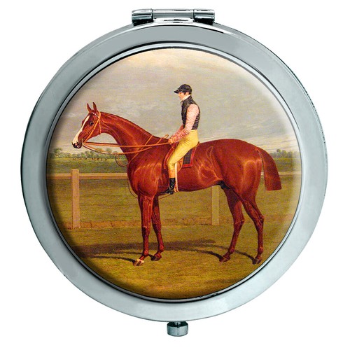 Cavallo corsa da - cavallo,