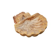 Acquasantiera del 1800 in