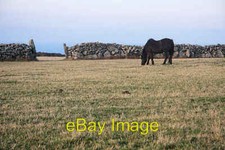Photo 6x4 Field at