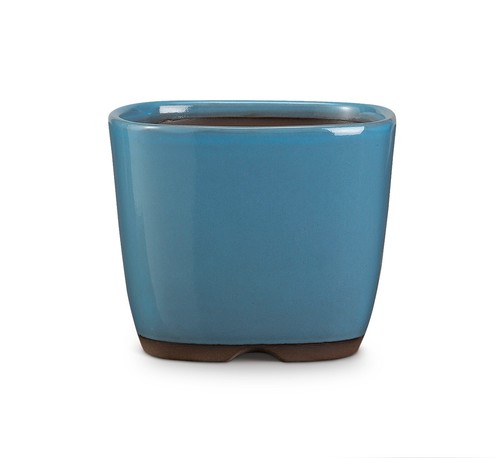 Certrè vaso per bonsai - certrè,