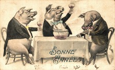 MAIALINI UMANIZZATI -