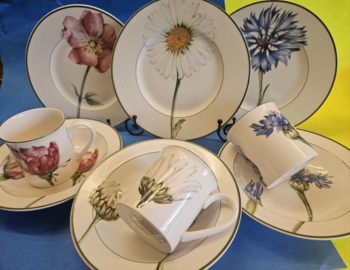 Villeroy boch insalata - &,
